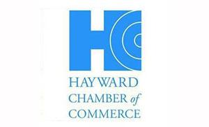 logo4